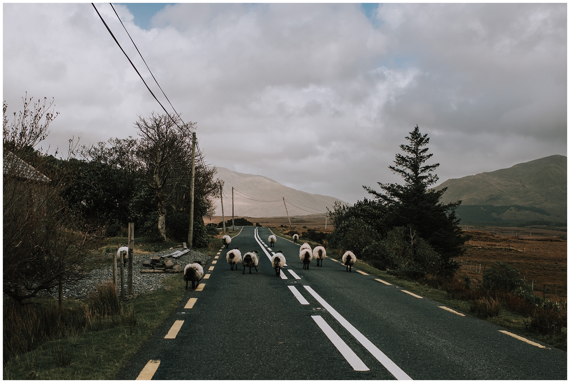 Ireland Travel Photography