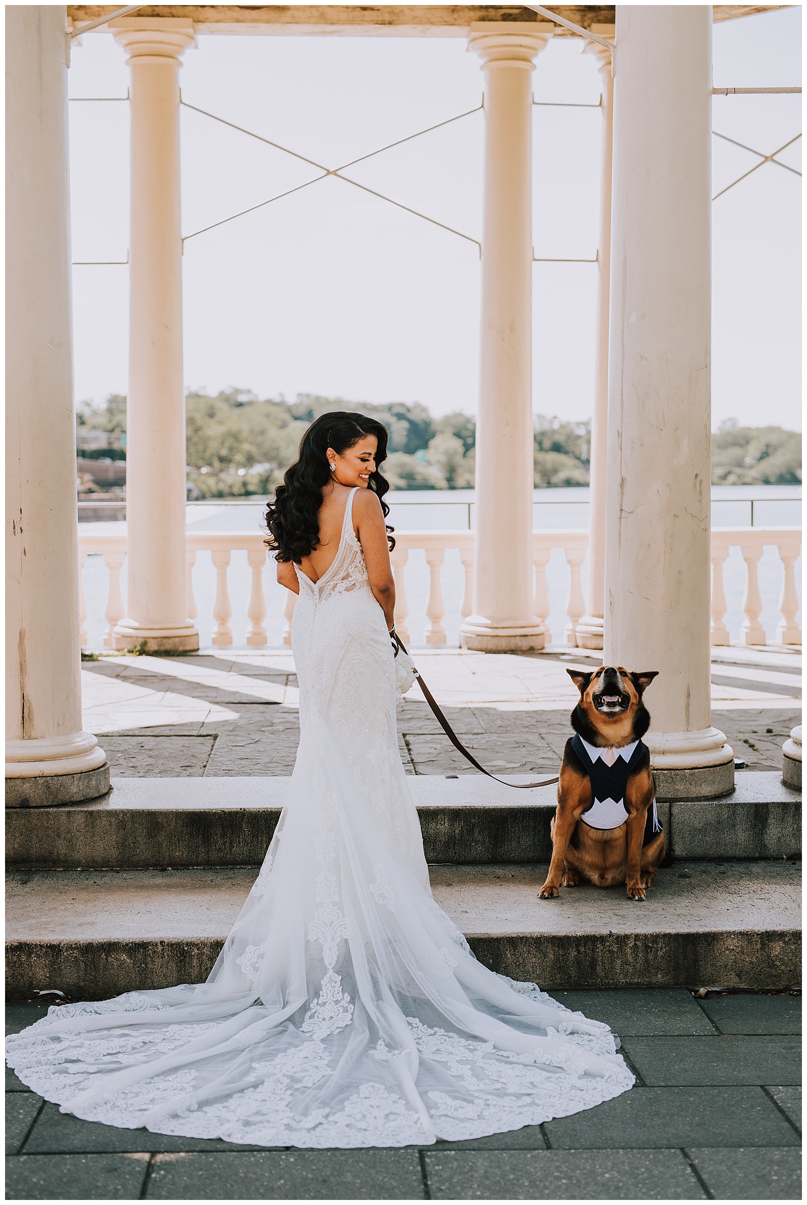 bride and dog ring bearer
